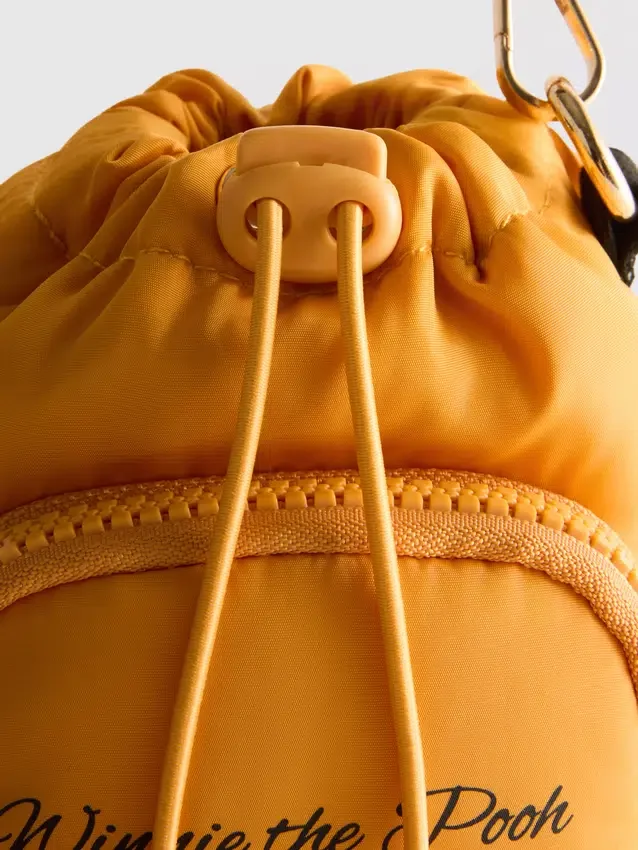 Winnie the pooh tigger bottle bag sd